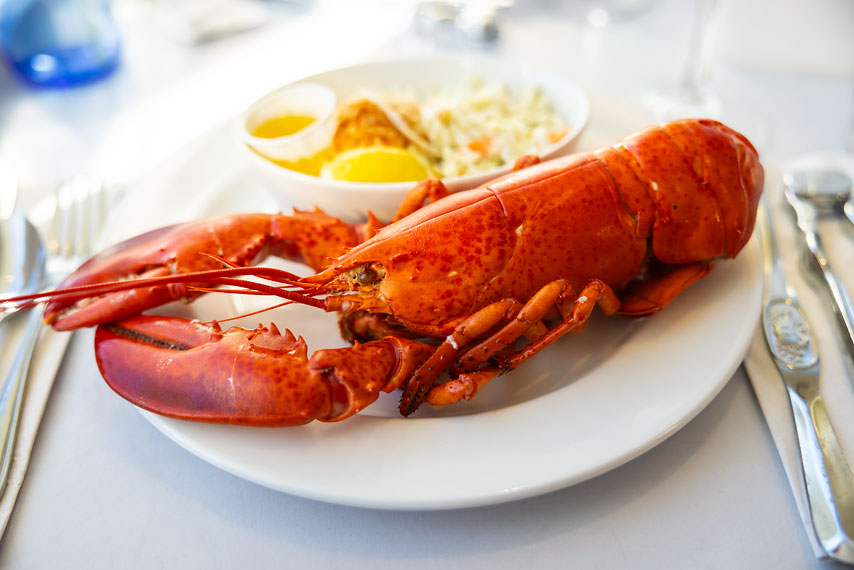 hummer / lobster, prince edward island, kanada