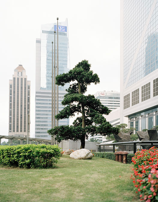 bank of china