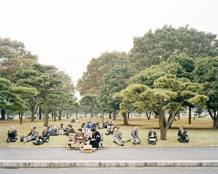 lunch in the park