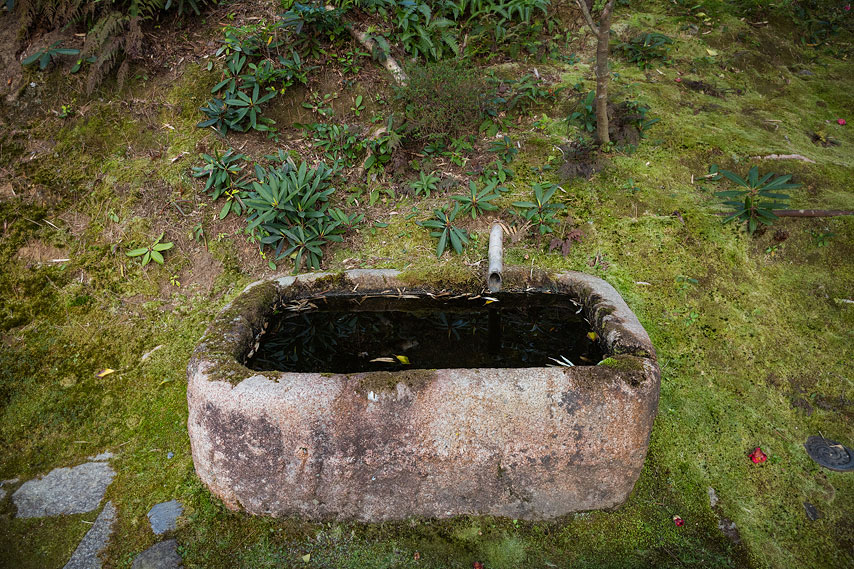 kodai temple garden