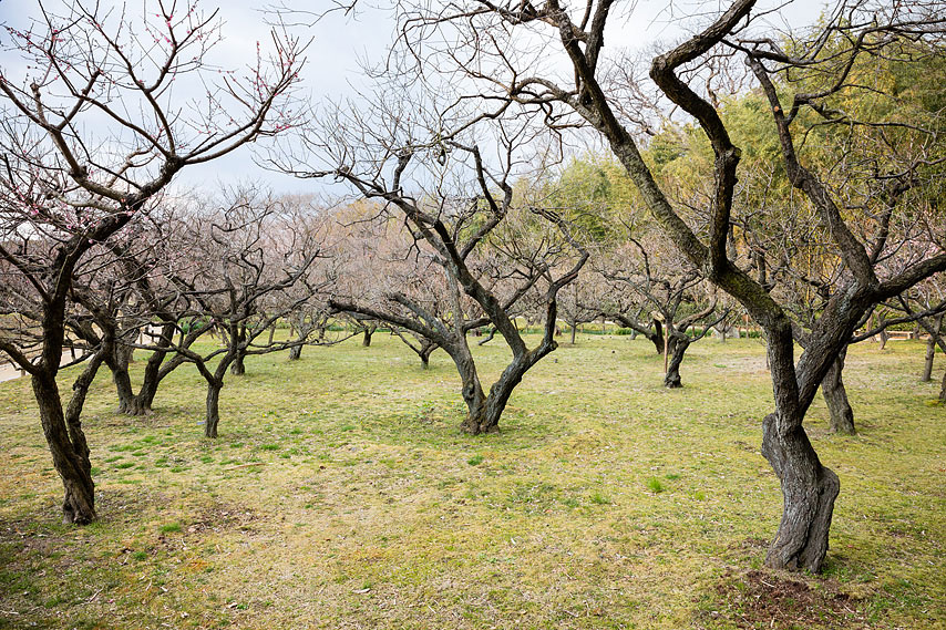 korakuen garden