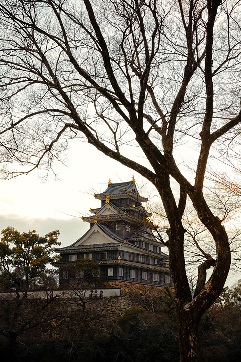 okayama castle