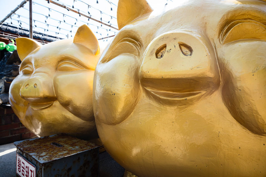 schweinchen