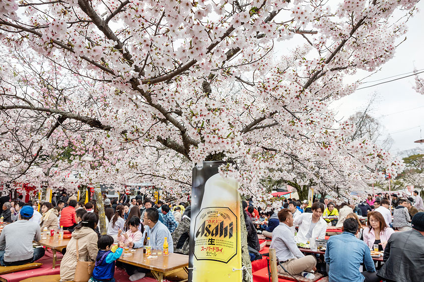 maruyama park