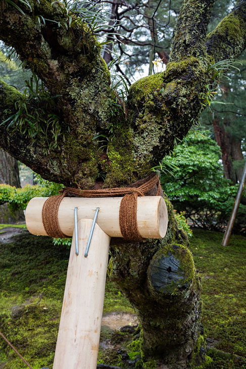 kenrokuen garden