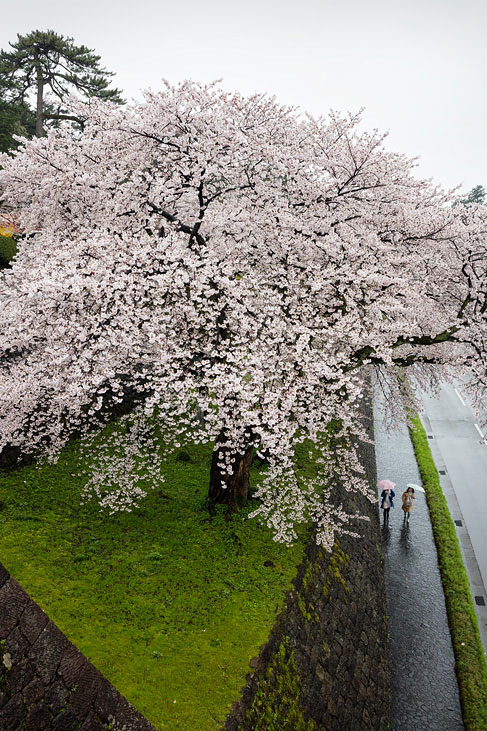 kanazawa