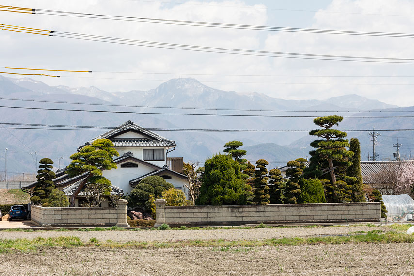 matsumoto