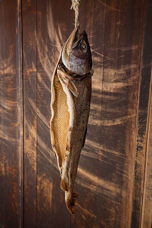 fish