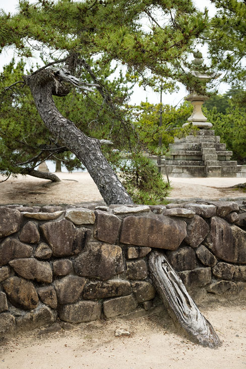miyajima island