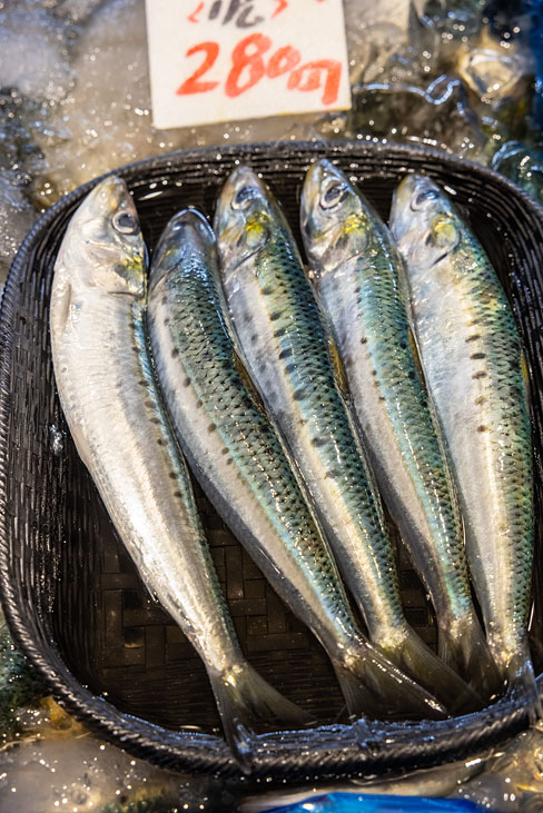 mackerels 