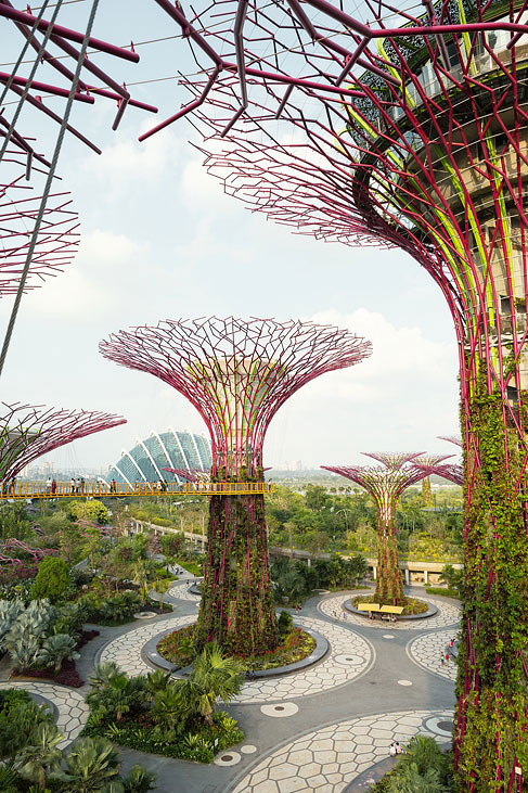 gardens by the bay