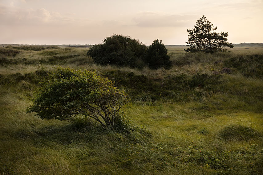 st. peter ording