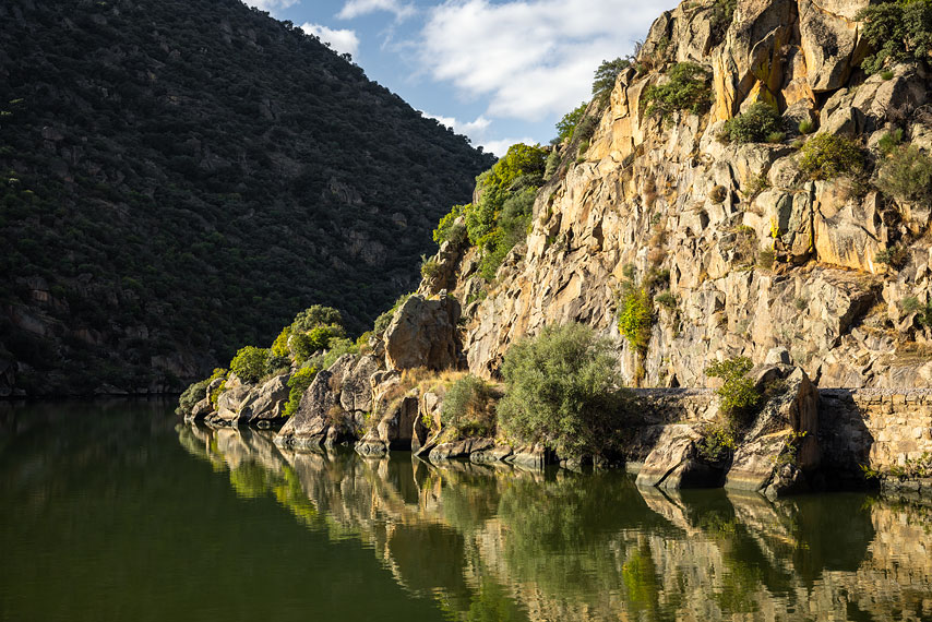 douro / river douro