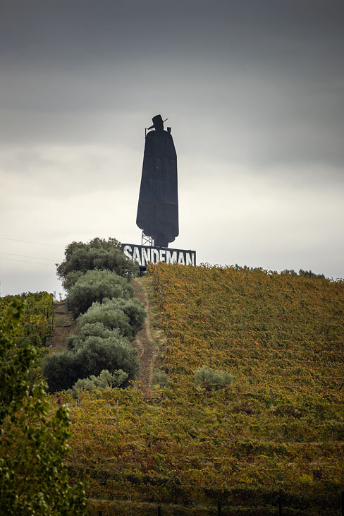 sandeman 