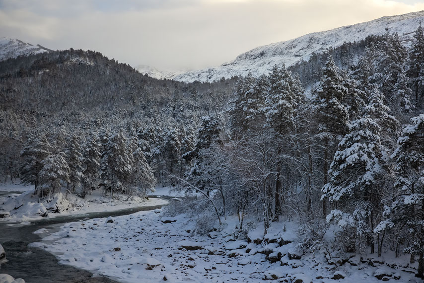 zugfahrt von oslo nach bergen