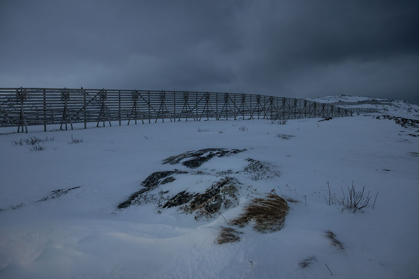 hammerfest 