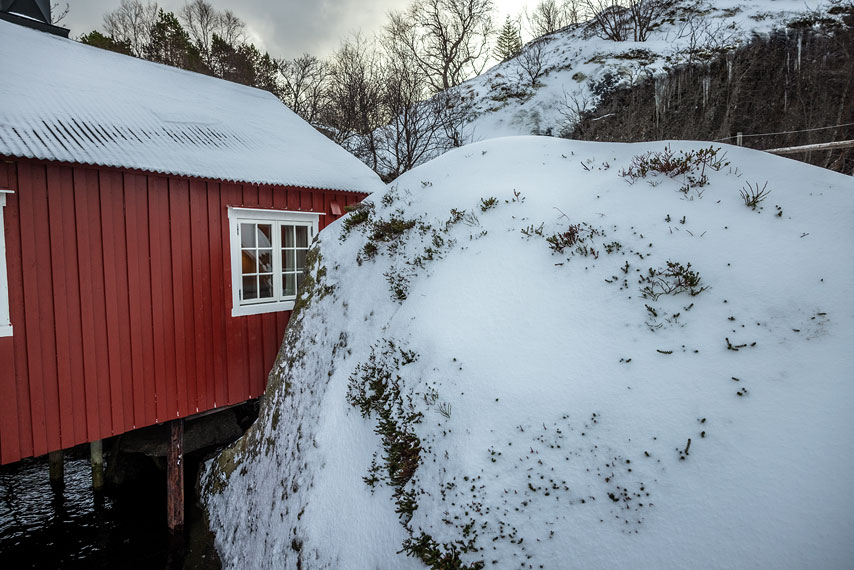 lofoten