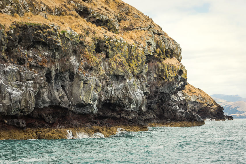 akaroa harbour