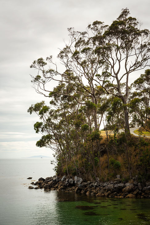 stewart island