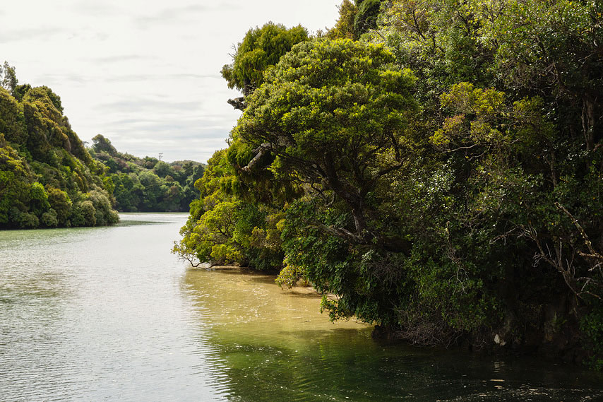 stewart island