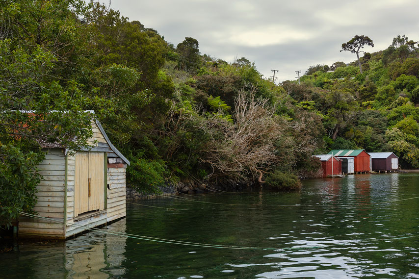 stewart island