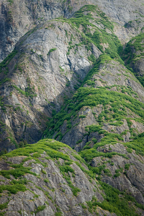 tracy arm