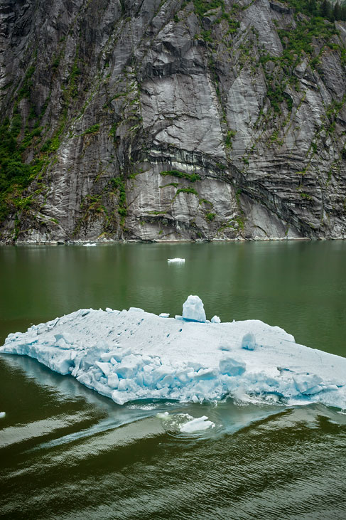 tracy arm