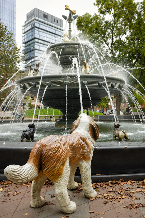 berczy park dog fountain von / of claude cormier and associates, toronto