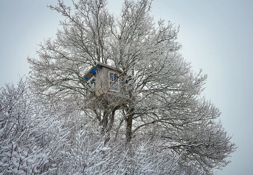 baumhütte