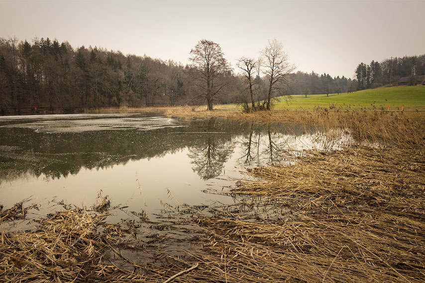 klausenweiher