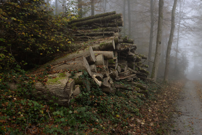 horgenberg