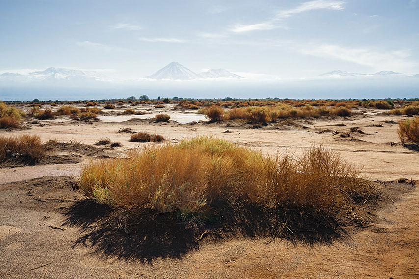 near san pedro