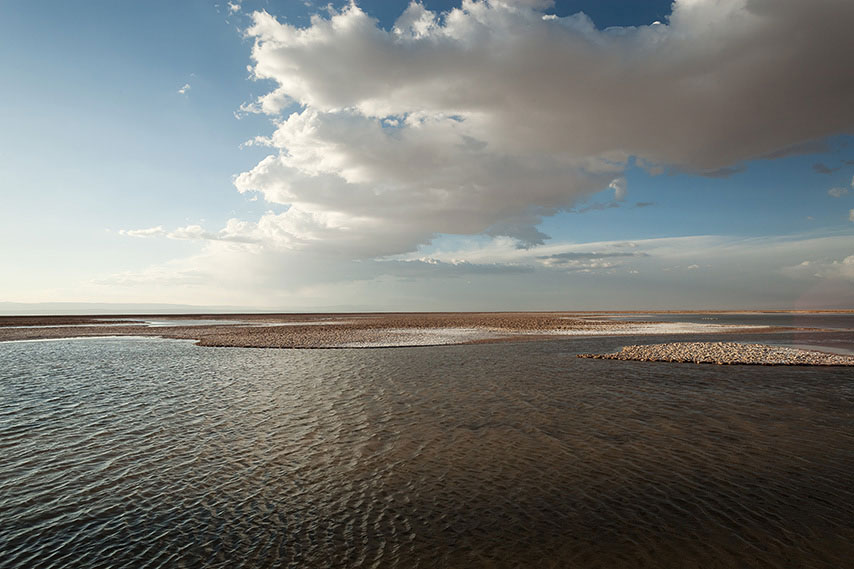 laguna chaxa