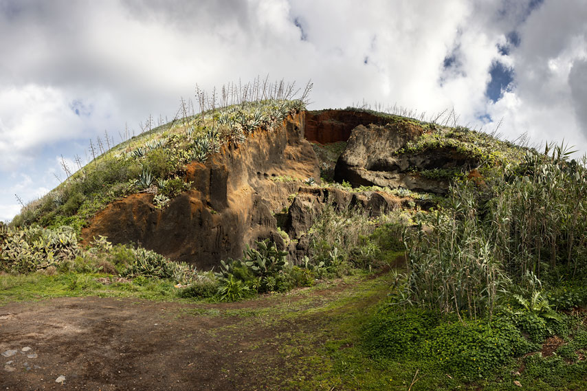 el palmar