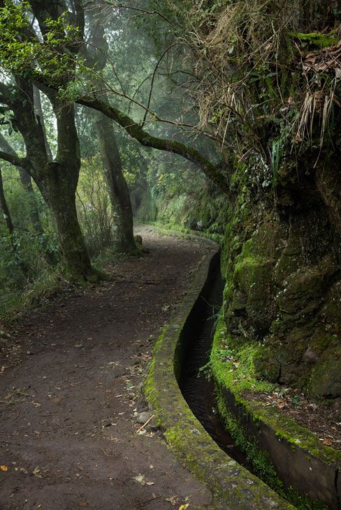 levada